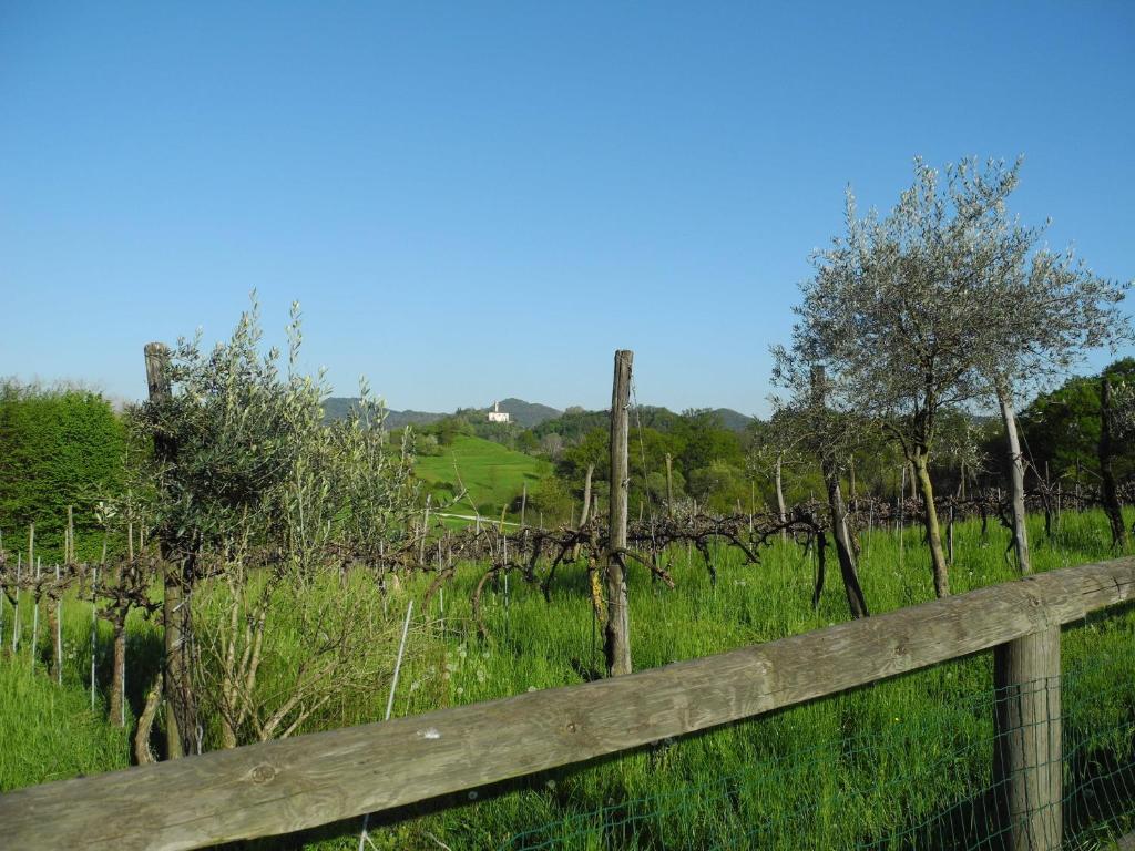 Agriturismo Cornolere Villa Castelcucco Dış mekan fotoğraf
