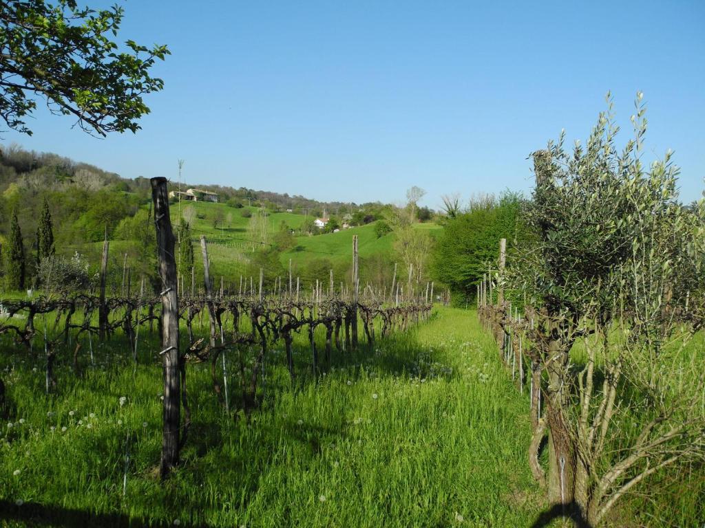 Agriturismo Cornolere Villa Castelcucco Dış mekan fotoğraf
